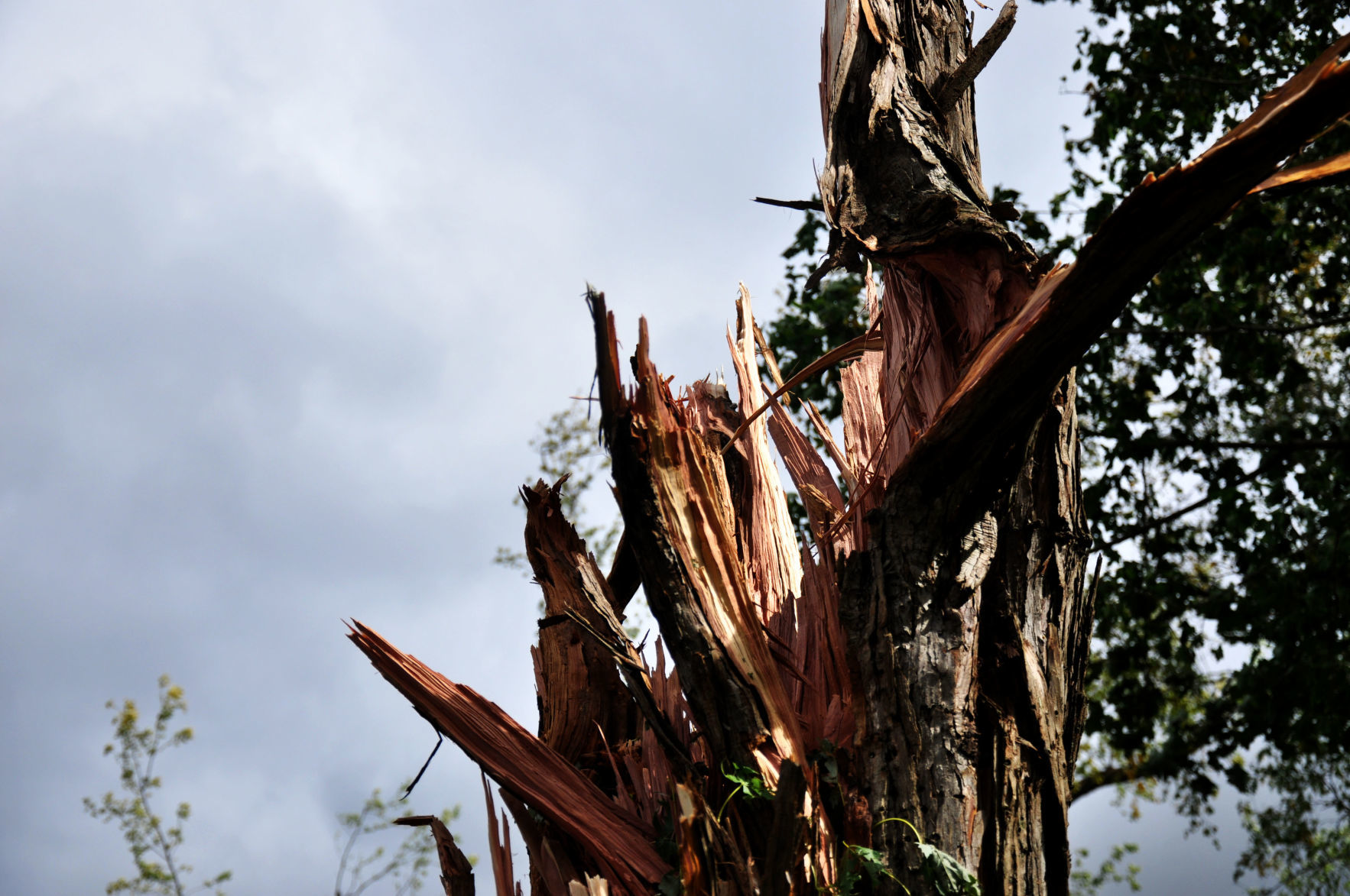 Tornado Damage